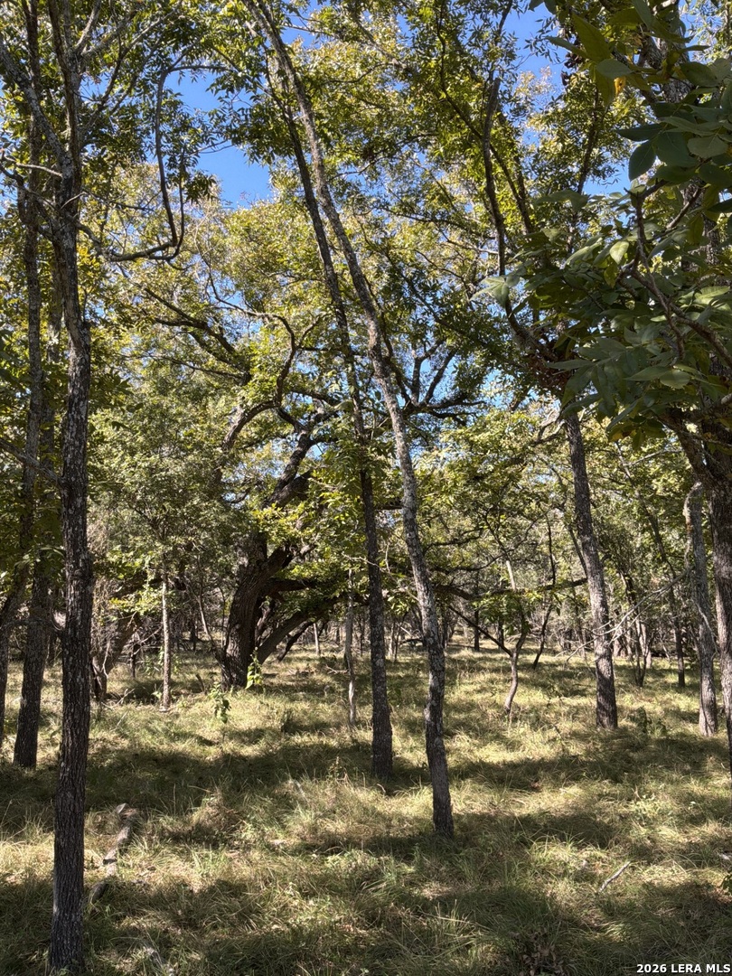 356 PHYLISS DR, Bandera, TX 78003