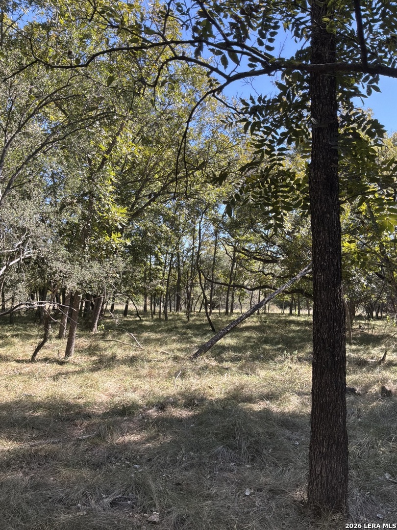 356 PHYLISS DR, Bandera, TX 78003