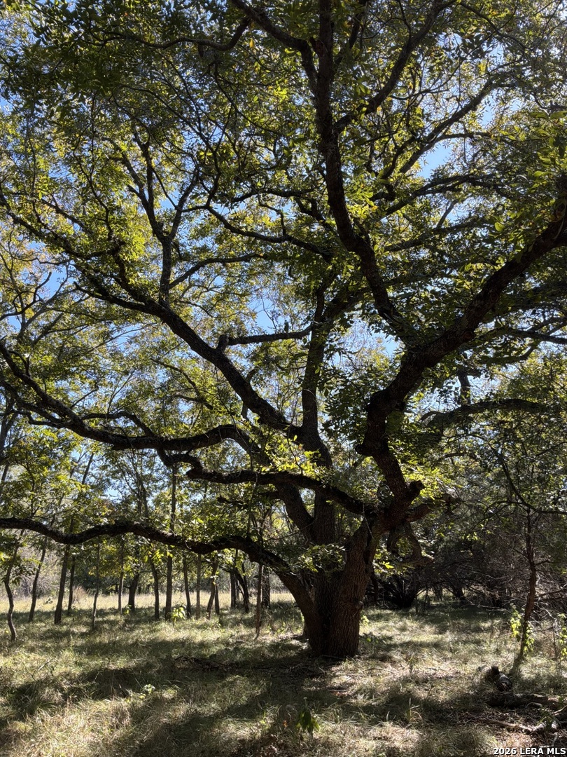356 PHYLISS DR, Bandera, TX 78003