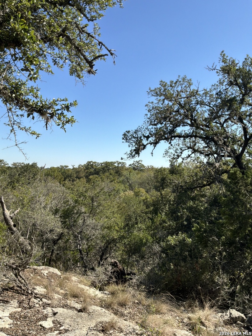 356 PHYLISS DR, Bandera, TX 78003