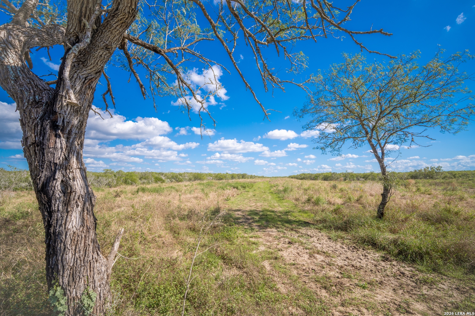 2089 CR 145, Alice, TX 78332