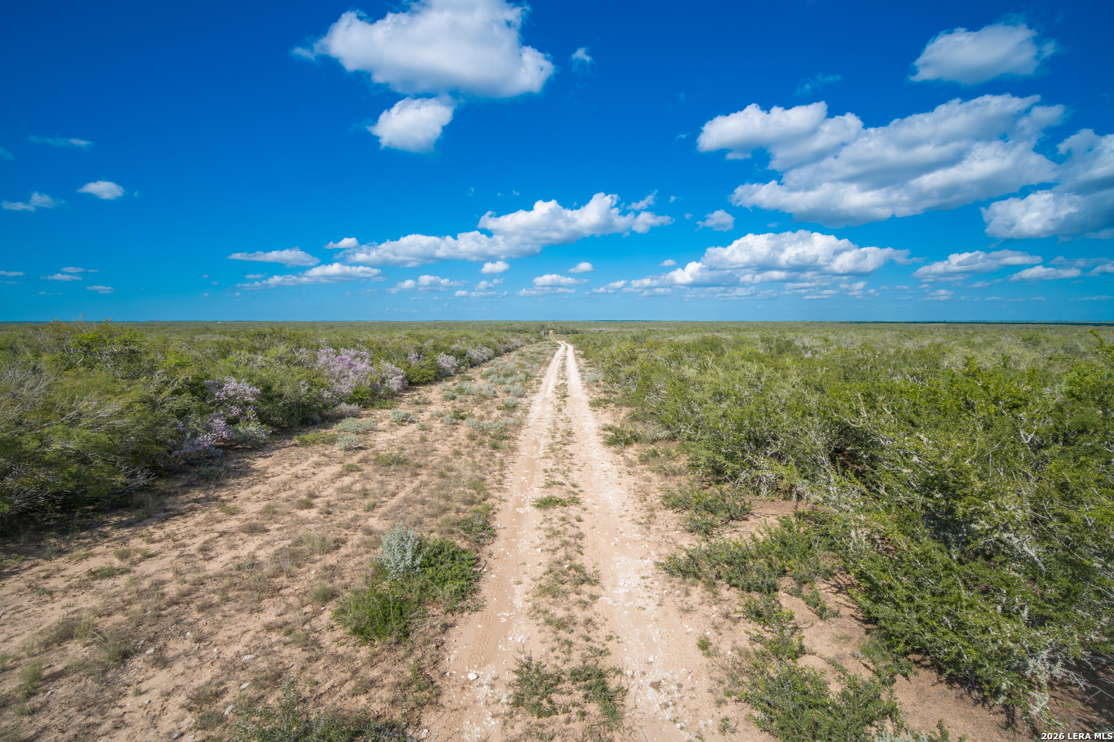 2089 CR 145, Alice, TX 78332