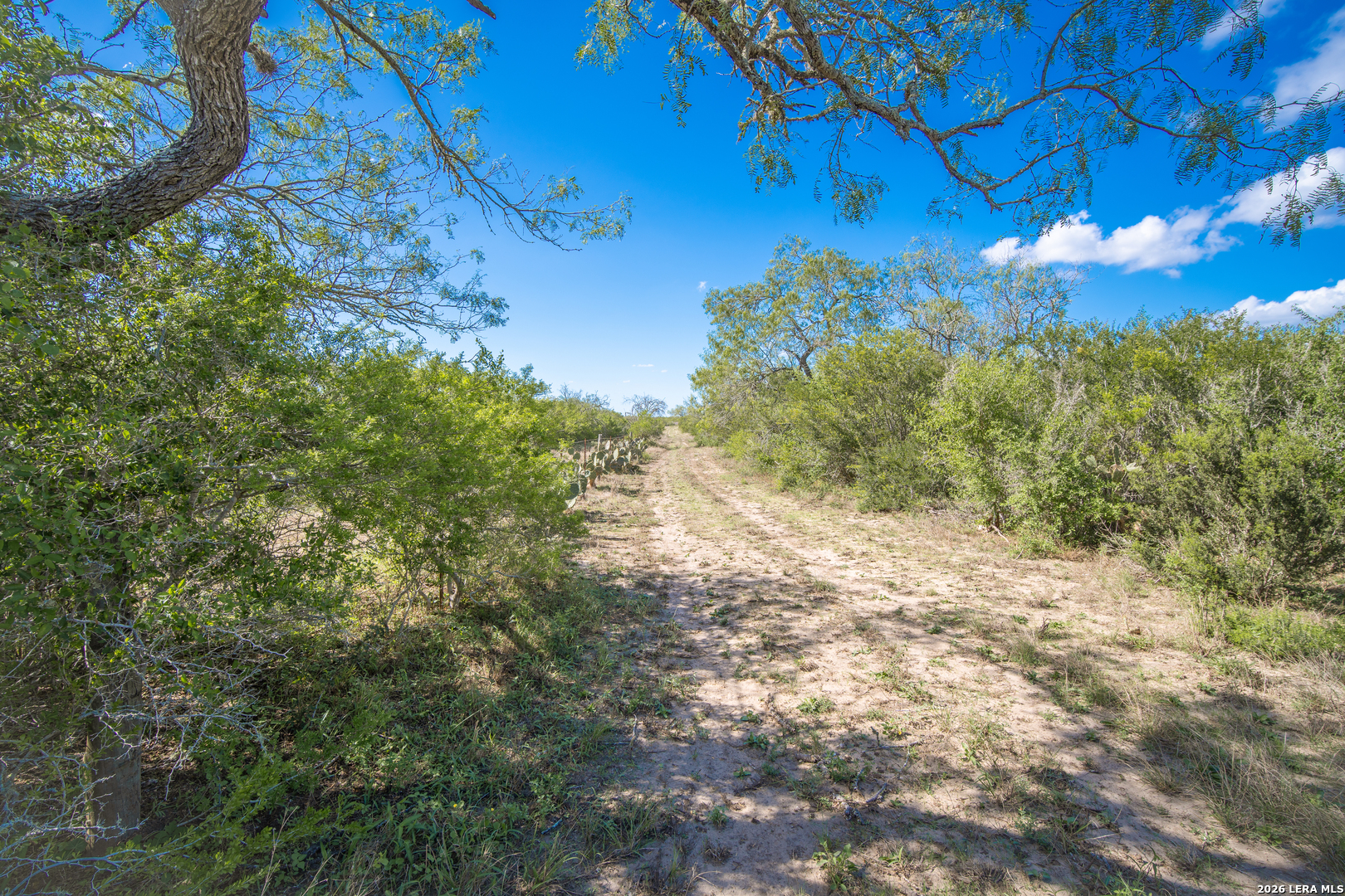 2089 CR 145, Alice, TX 78332