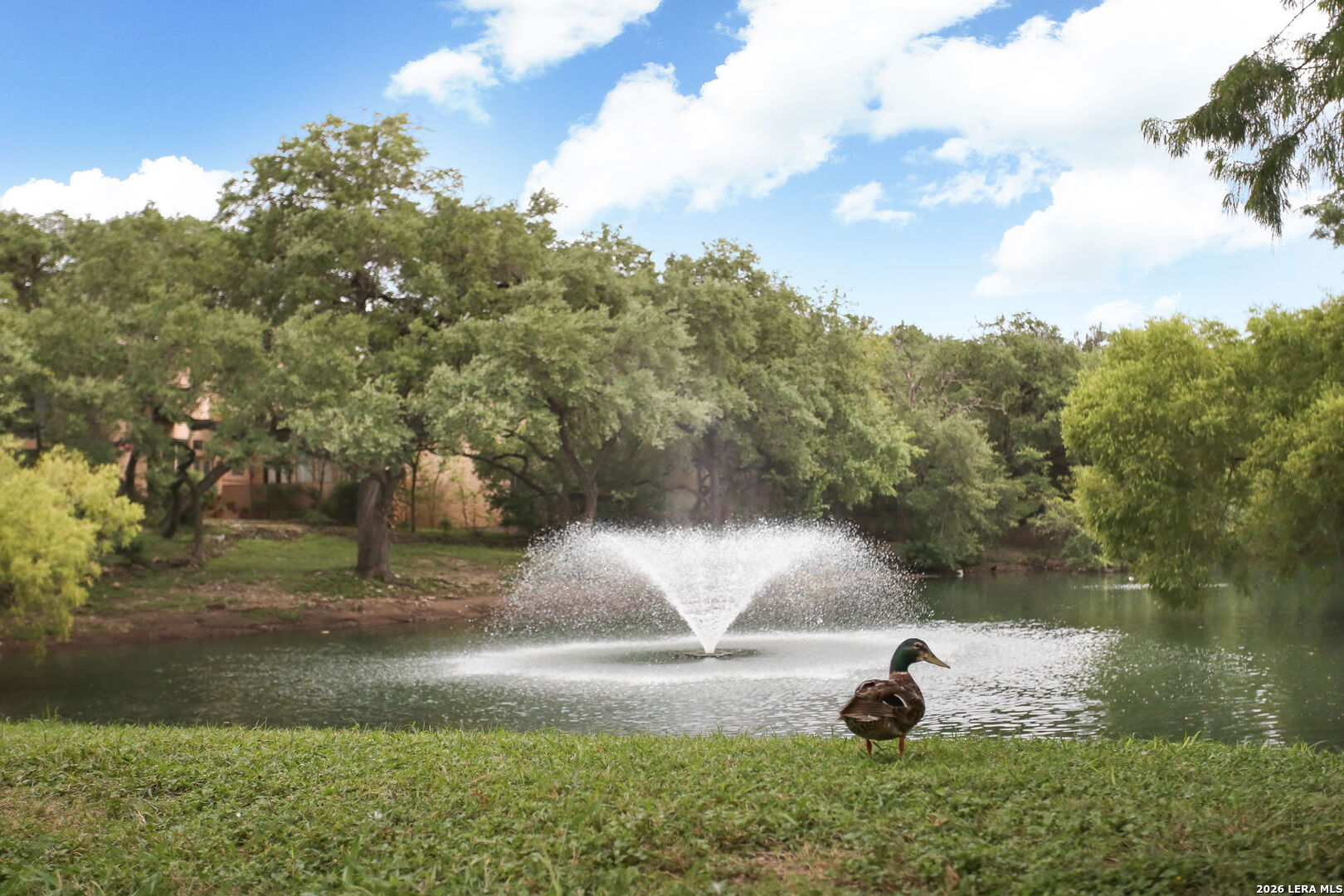 11726 Mission Trace St, San Antonio, TX 78230