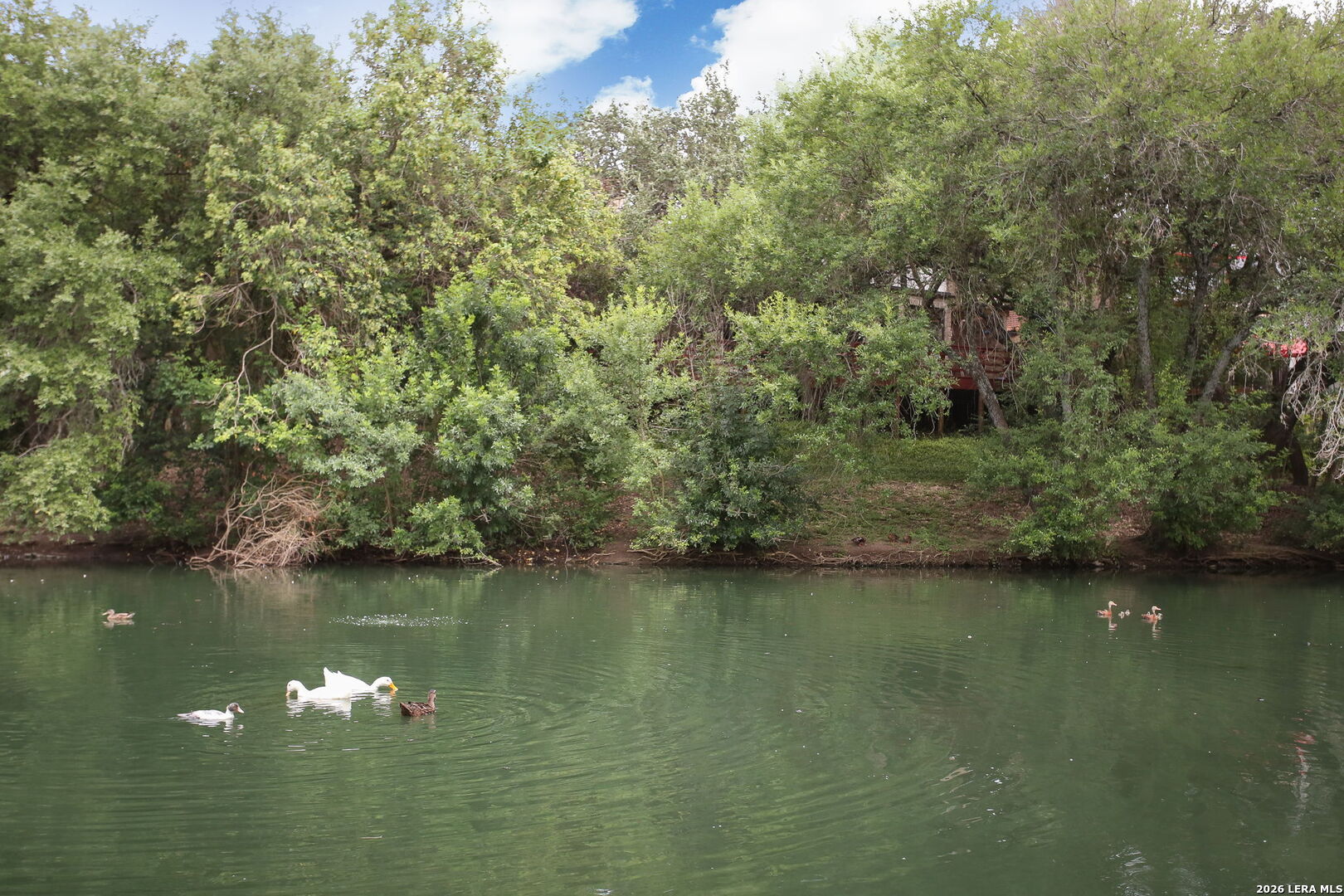 11726 Mission Trace St, San Antonio, TX 78230