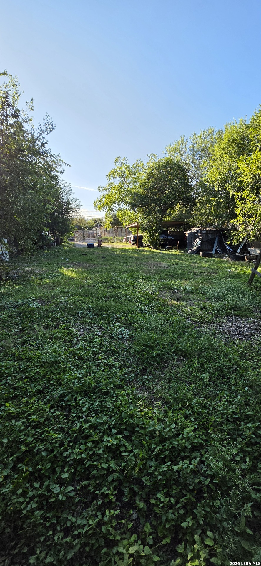 54 CARLOTA, San Antonio, TX 78228
