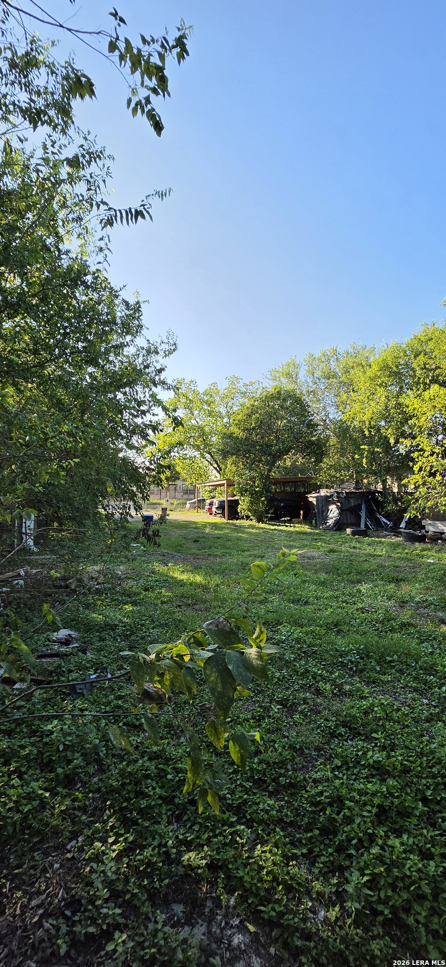 54 CARLOTA, San Antonio, TX 78228