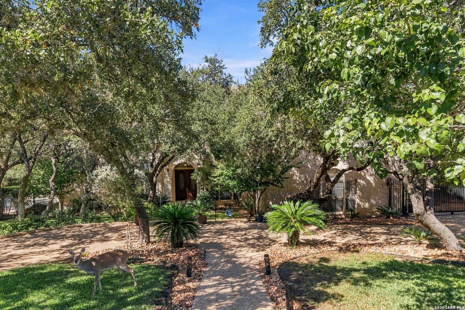 25131 Callaway, San Antonio, TX 78260