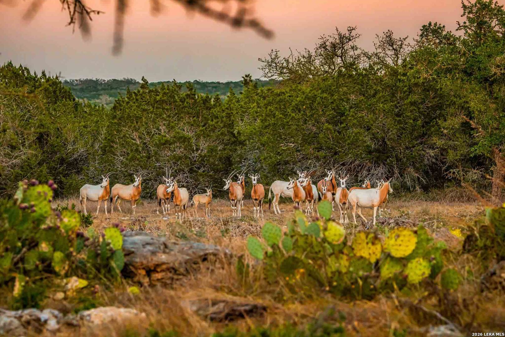 20788 HIGHWAY 41, Mountain Home, TX 78058