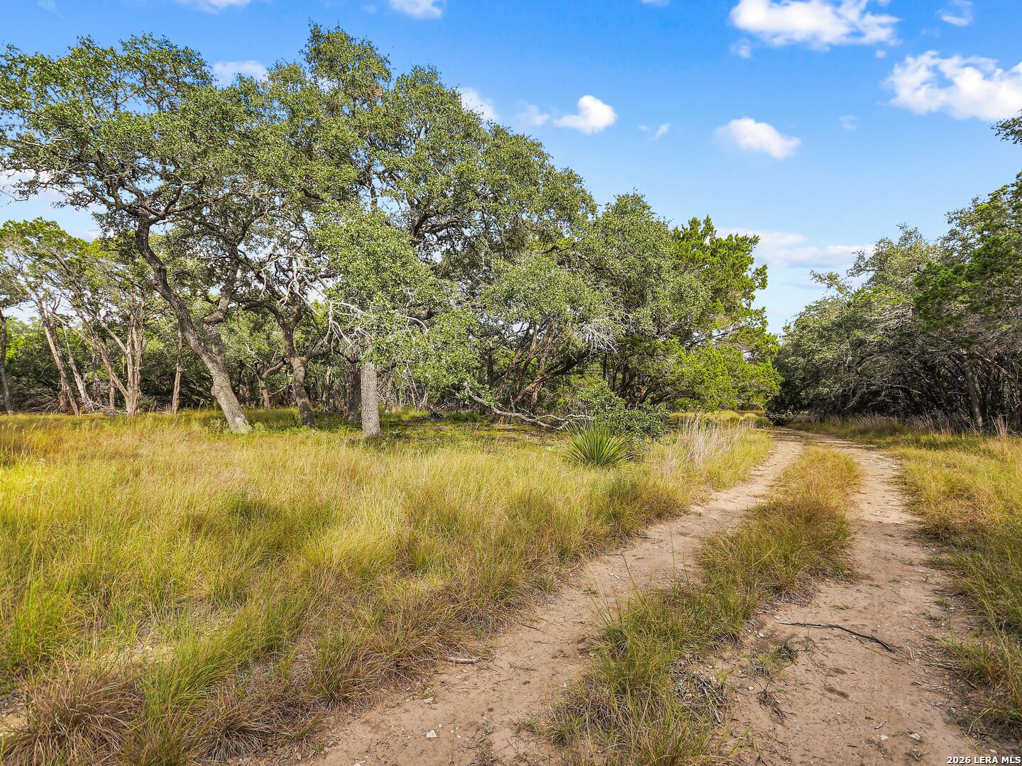TBD Hwy 46 / Madrona Ranch Road, Pipe Creek, TX 78063