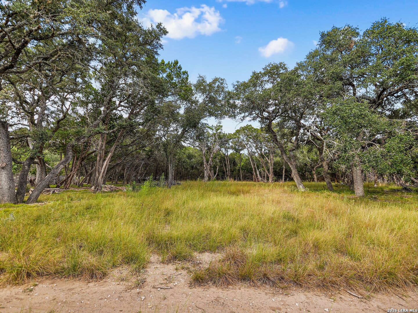 TBD Hwy 46 / Madrona Ranch Road, Pipe Creek, TX 78063