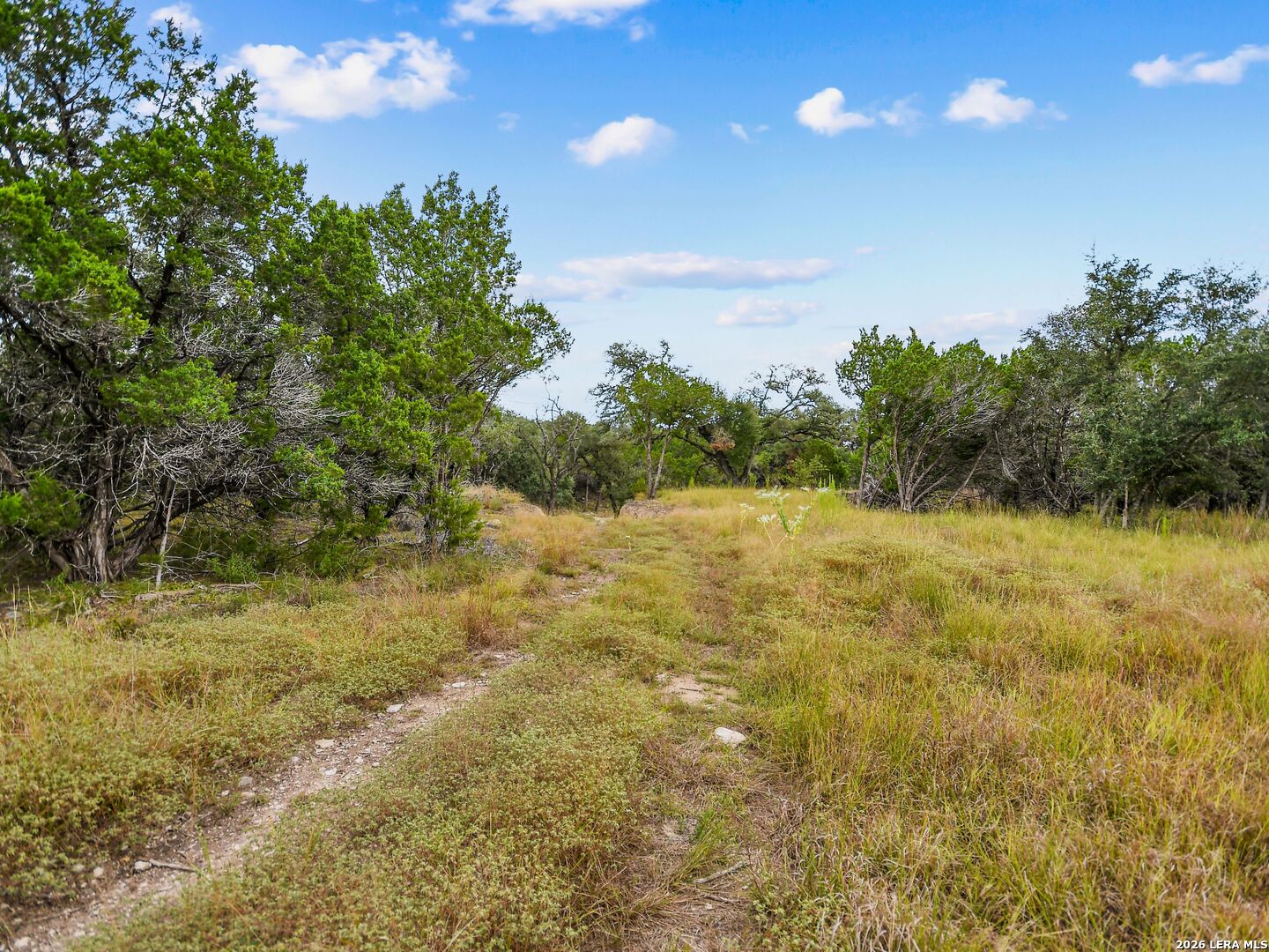 TBD Hwy 46 / Madrona Ranch Road, Pipe Creek, TX 78063