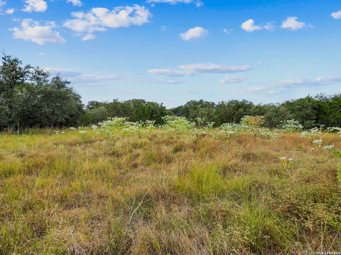 TBD Hwy 46 / Madrona Ranch Road, Pipe Creek, TX 78063