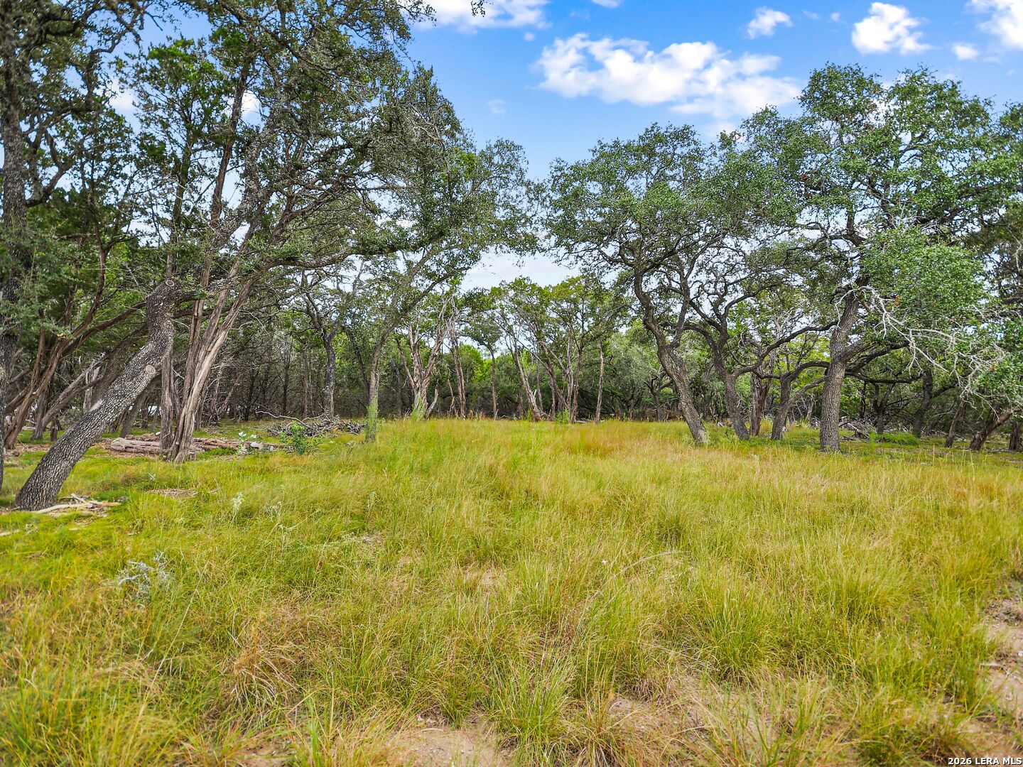 TBD Hwy 46 / Madrona Ranch Road, Pipe Creek, TX 78063