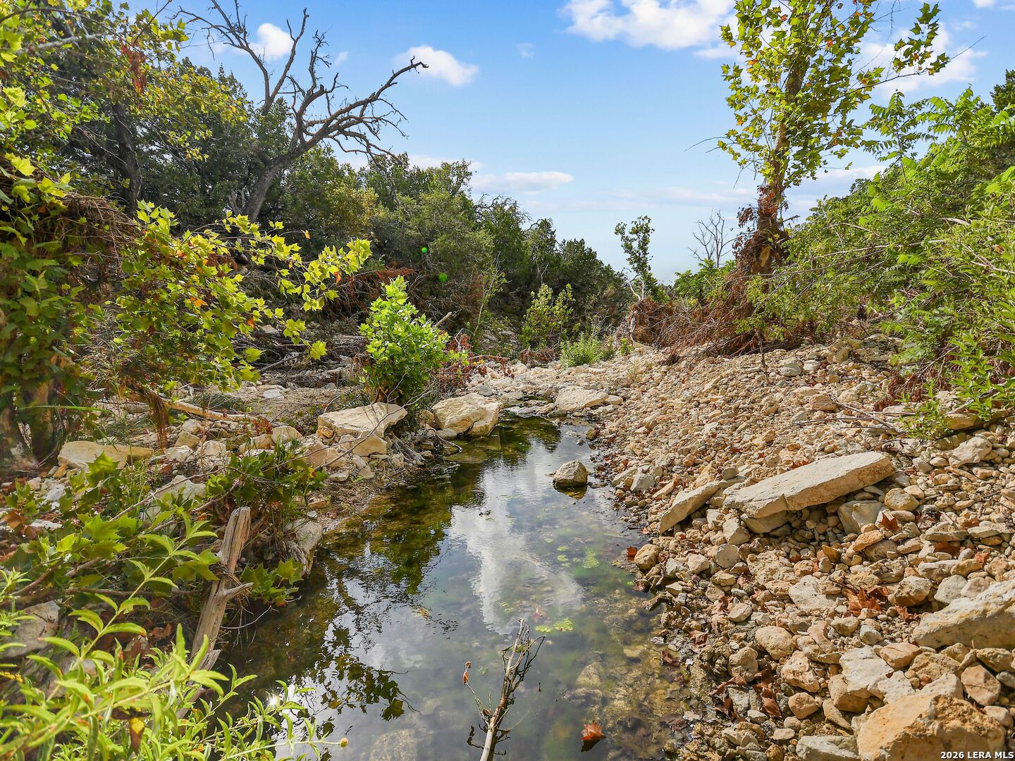 TBD Hwy 46 / Madrona Ranch Road, Pipe Creek, TX 78063