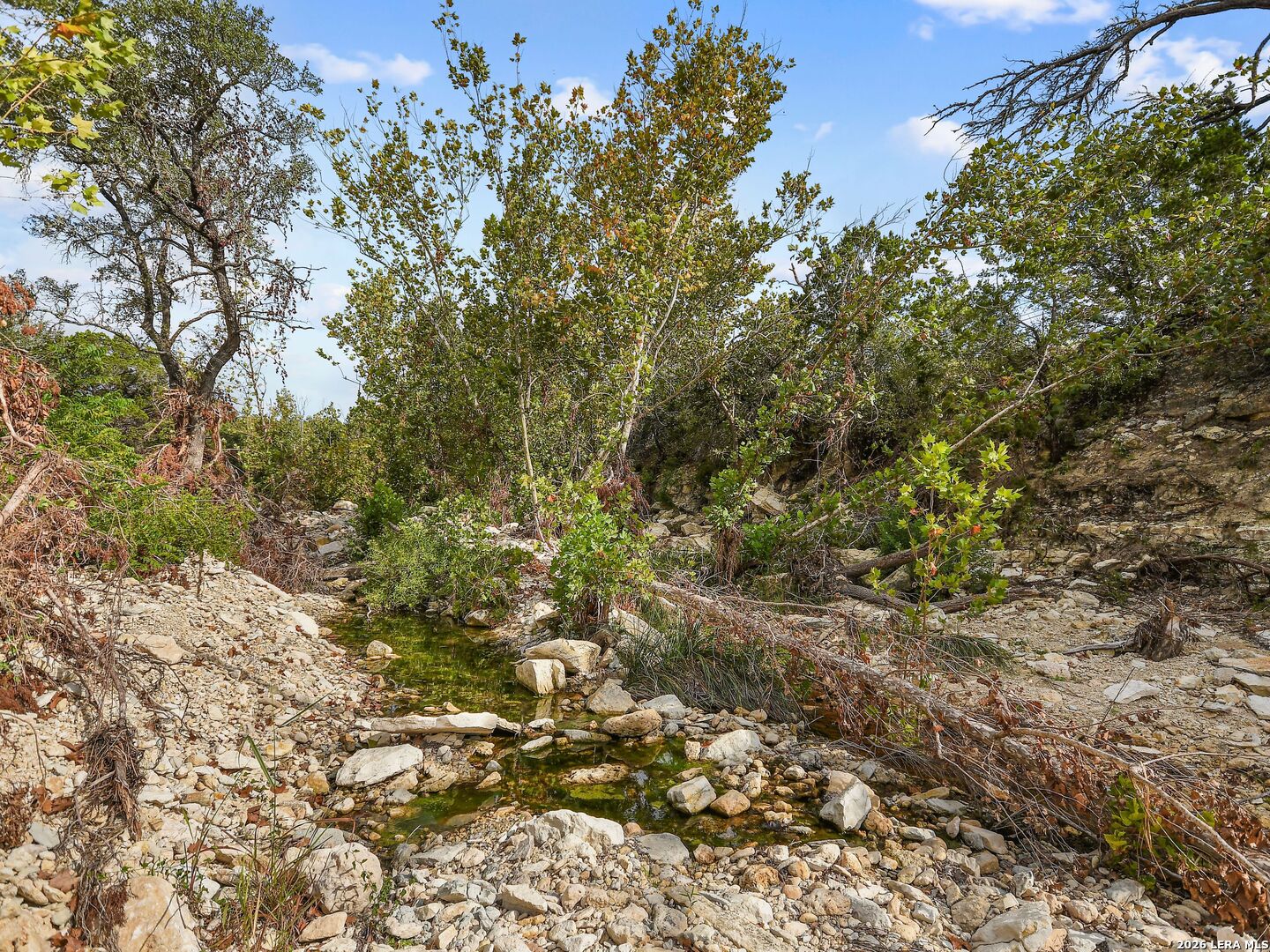 TBD Hwy 46 / Madrona Ranch Road, Pipe Creek, TX 78063