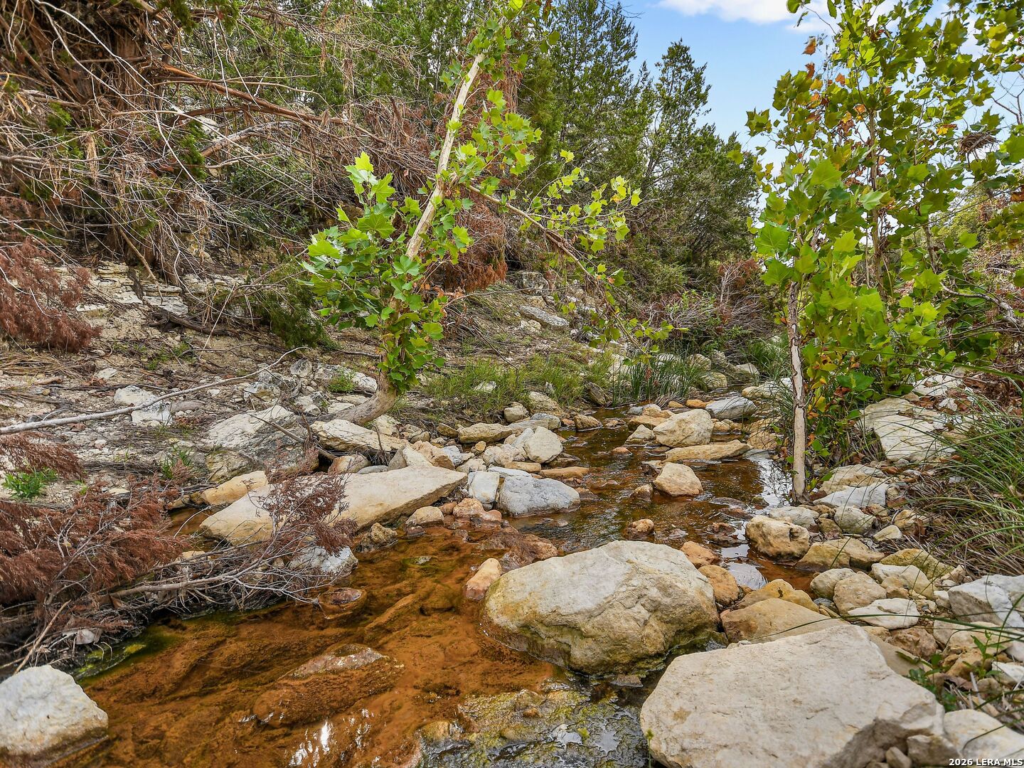 TBD Hwy 46 / Madrona Ranch Road, Pipe Creek, TX 78063