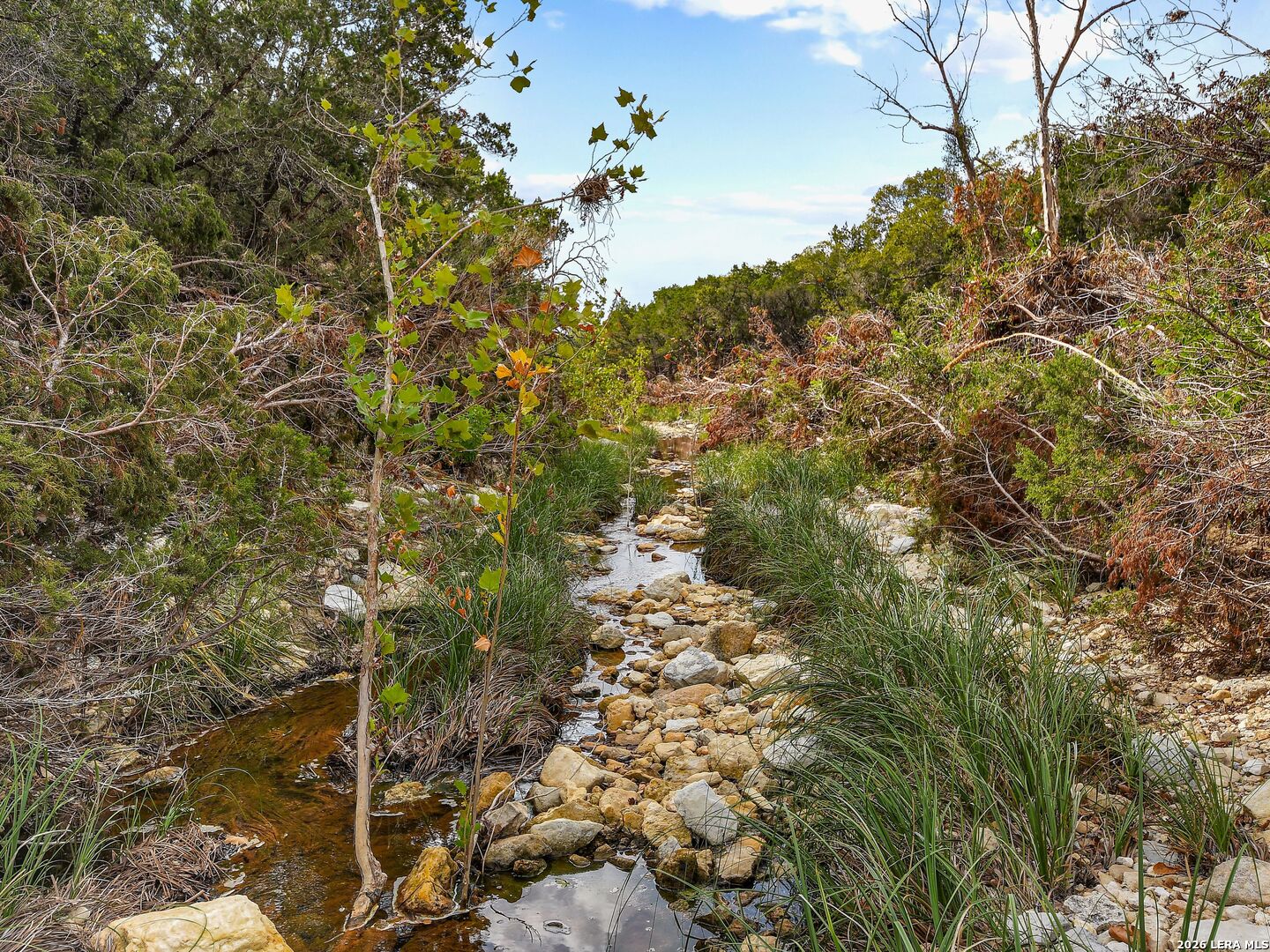 TBD Hwy 46 / Madrona Ranch Road, Pipe Creek, TX 78063