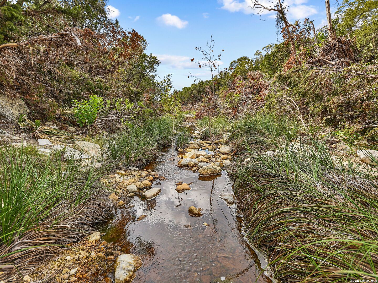 TBD Hwy 46 / Madrona Ranch Road, Pipe Creek, TX 78063