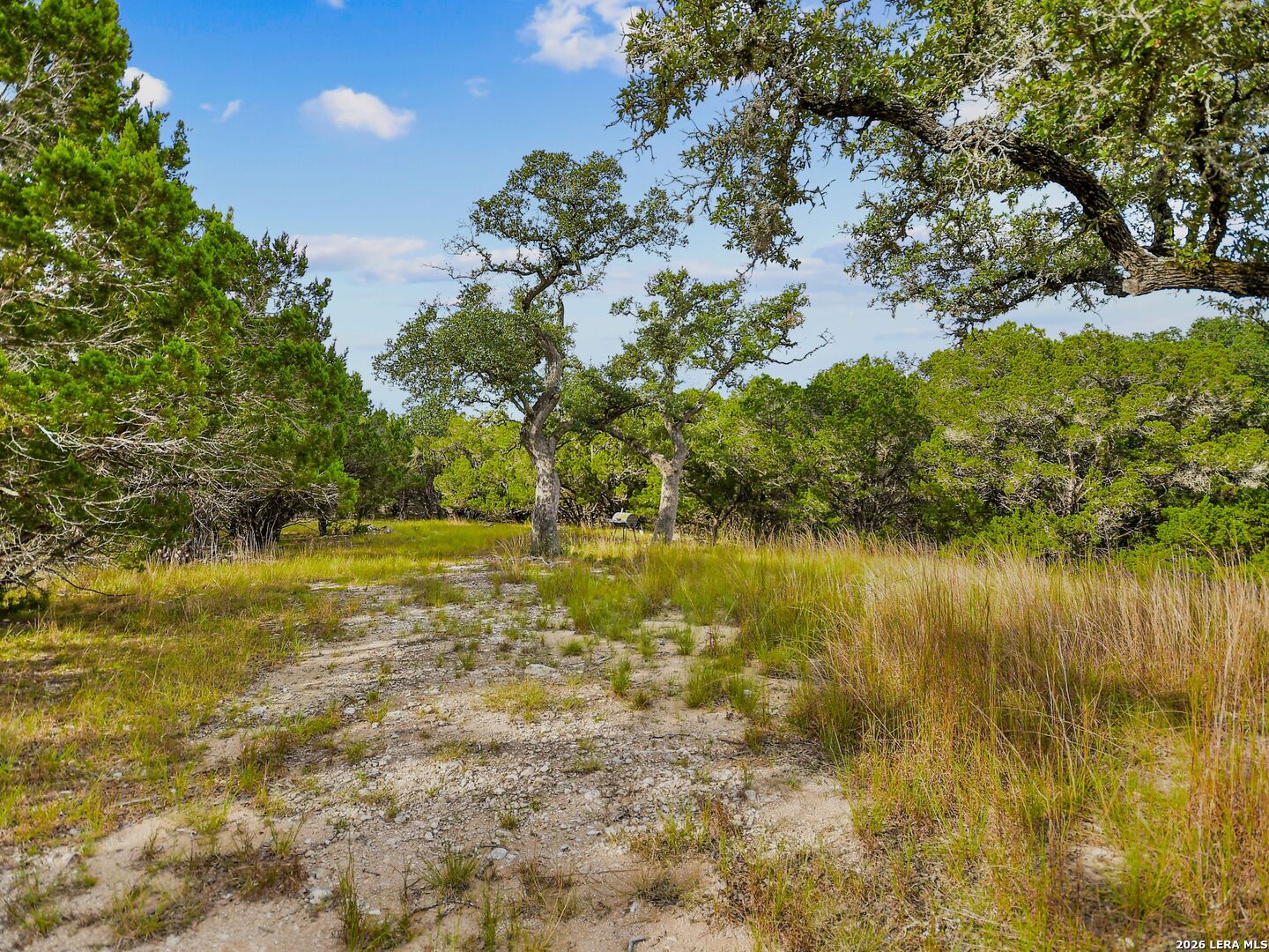TBD Hwy 46 / Madrona Ranch Road, Pipe Creek, TX 78063