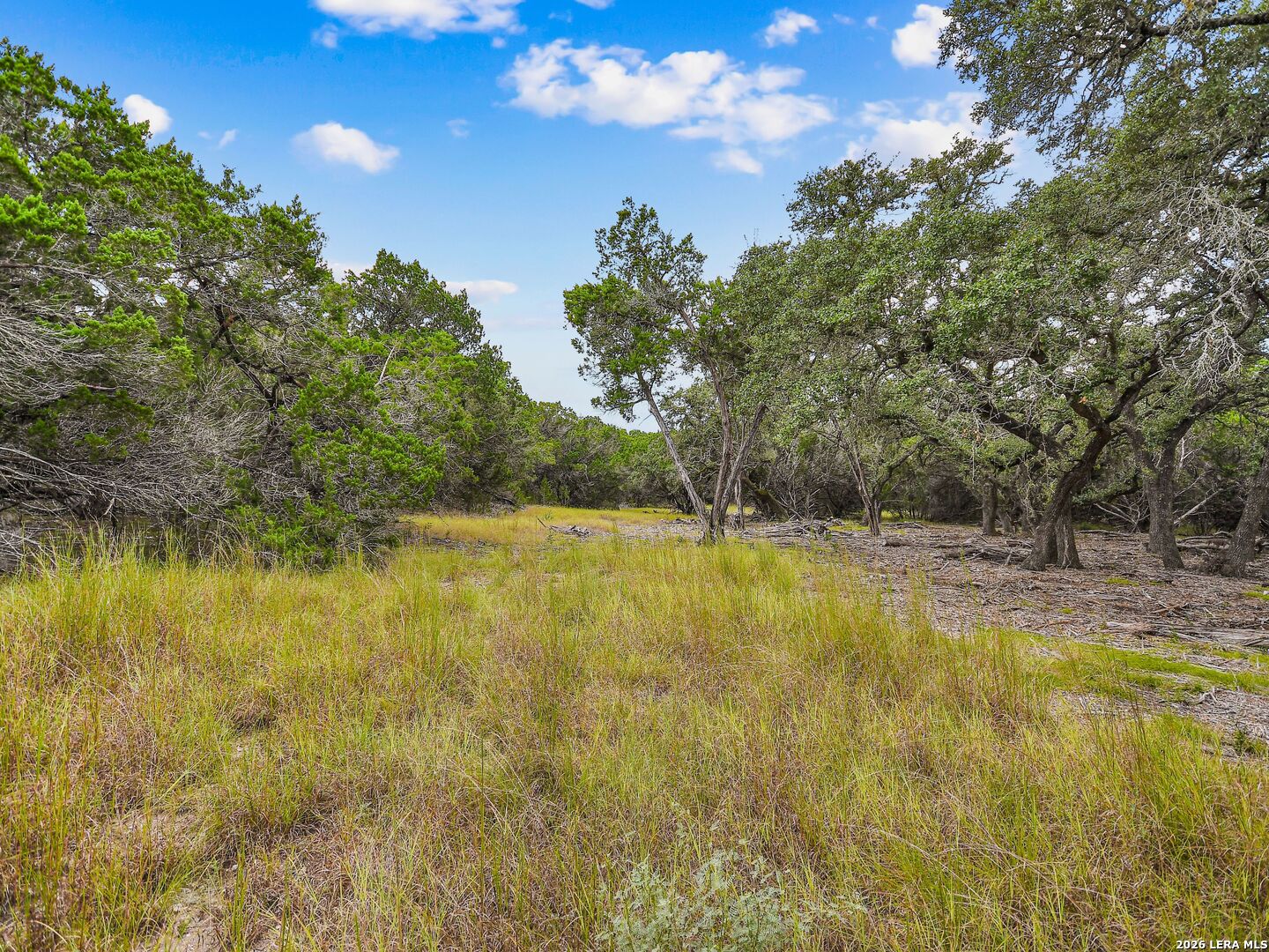TBD Hwy 46 / Madrona Ranch Road, Pipe Creek, TX 78063