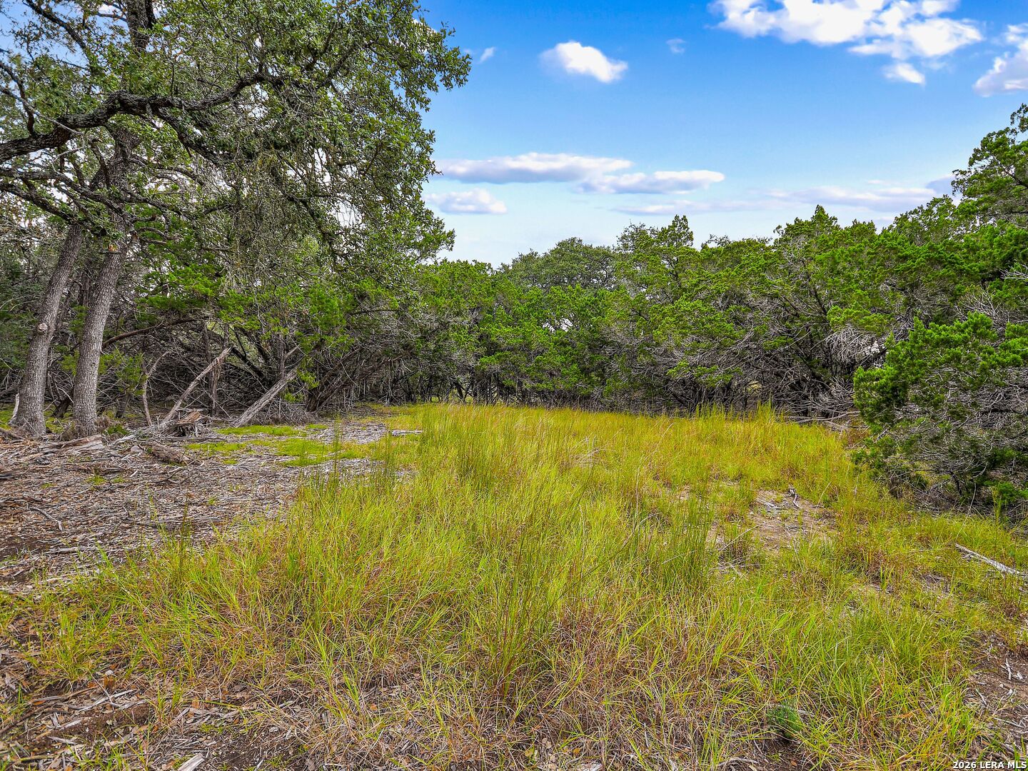 TBD Hwy 46 / Madrona Ranch Road, Pipe Creek, TX 78063