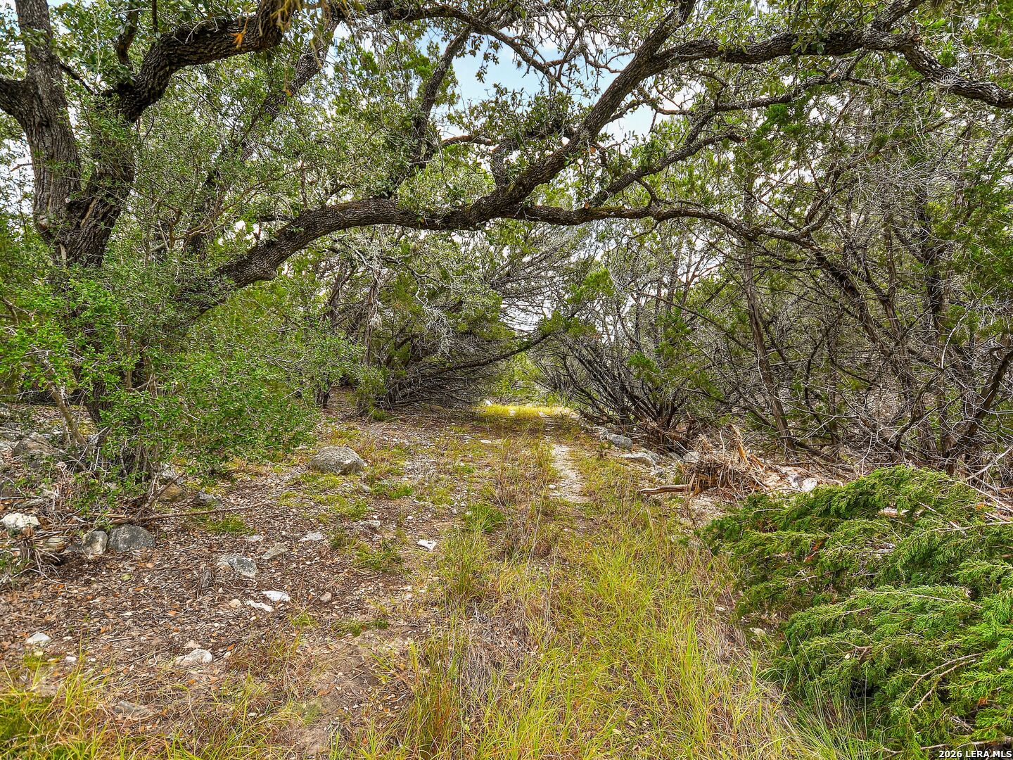TBD Hwy 46 / Madrona Ranch Road, Pipe Creek, TX 78063