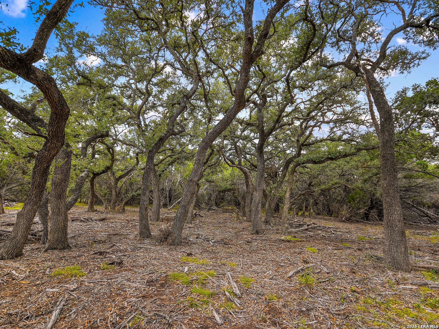 TBD Hwy 46 / Madrona Ranch Road, Pipe Creek, TX 78063
