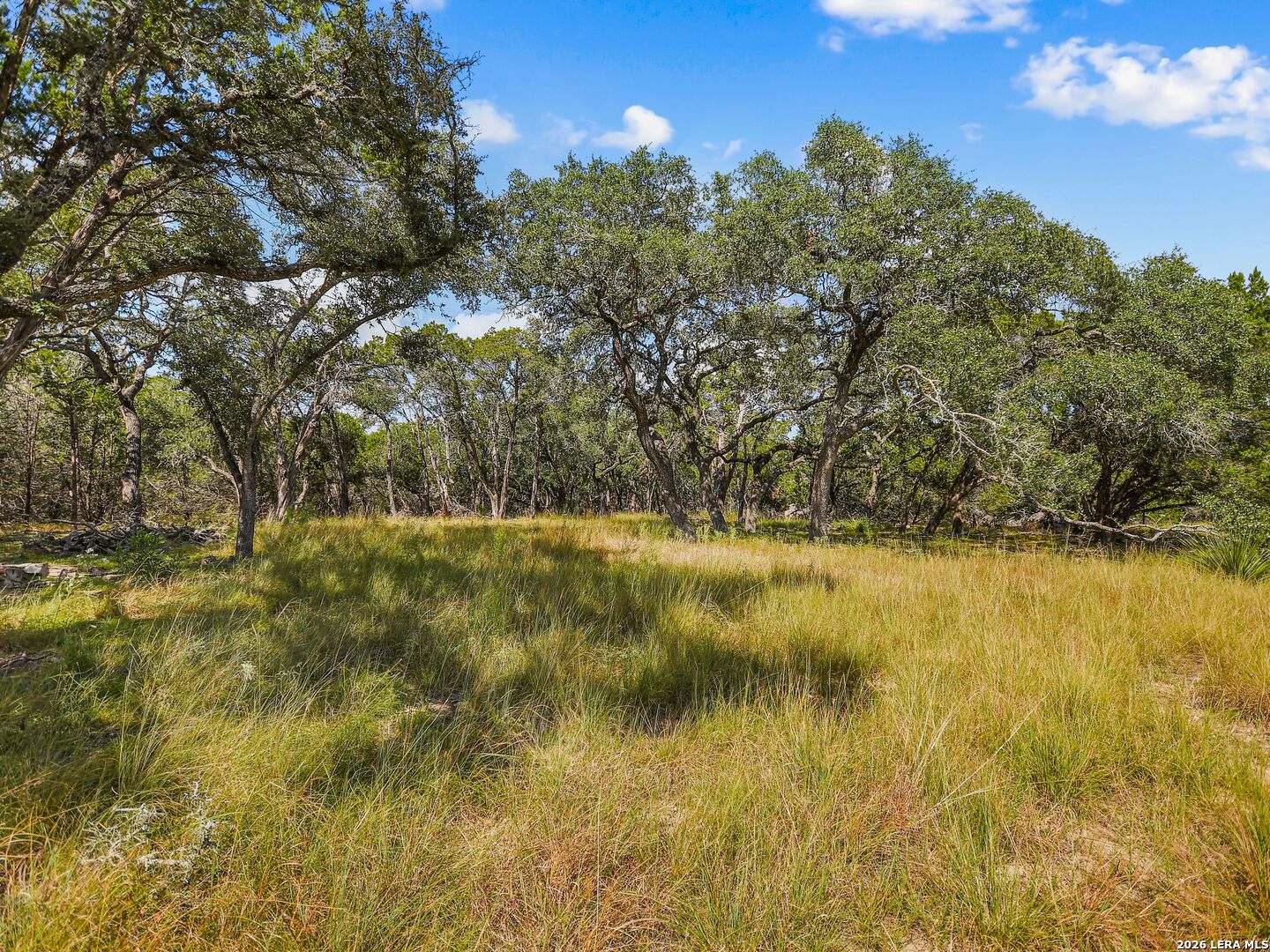 TBD Hwy 46 / Madrona Ranch Road, Pipe Creek, TX 78063