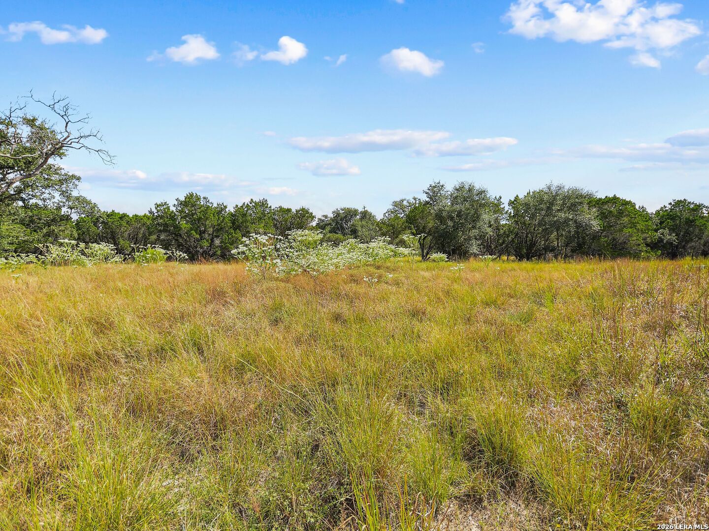 TBD Hwy 46 / Madrona Ranch Road, Pipe Creek, TX 78063