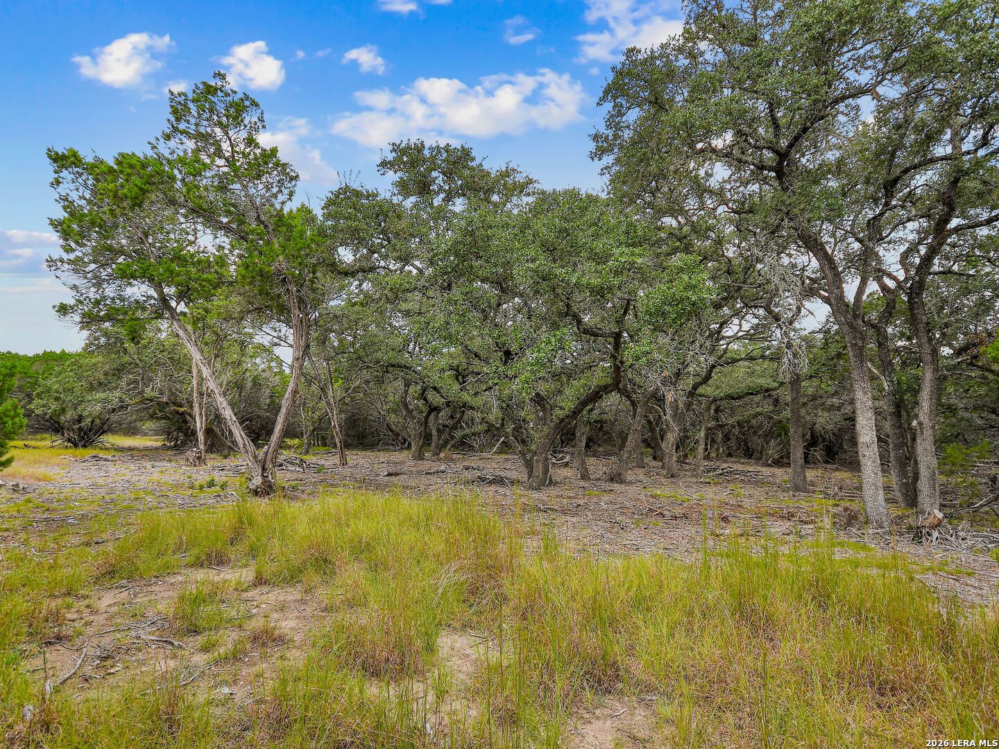 TBD Hwy 46 / Madrona Ranch Road, Pipe Creek, TX 78063