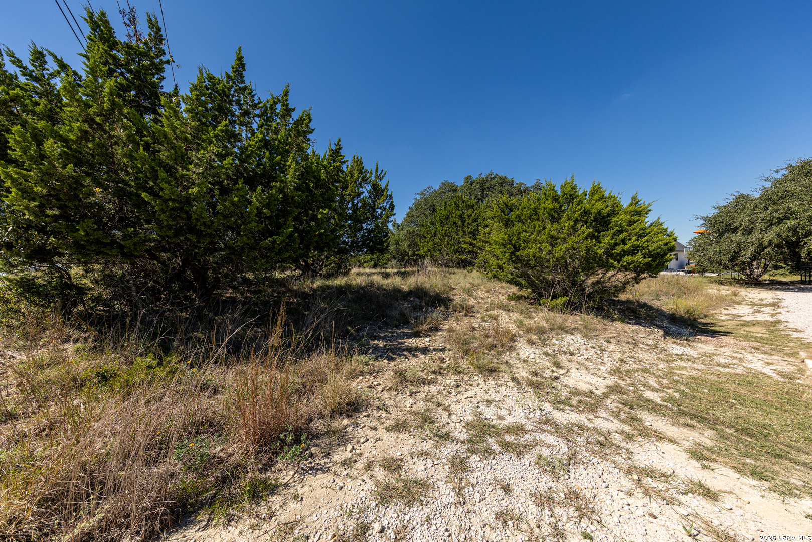 LOT #449 S. Calvin Barrett, Blanco, TX 78606