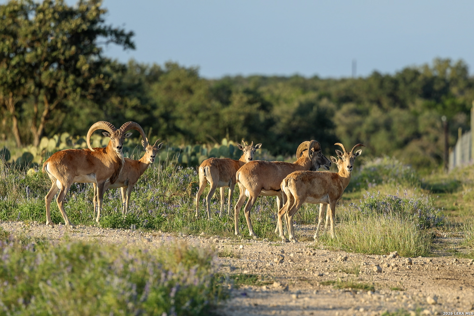 3701 HIGHWAY 41, Mountain Home, TX 78058