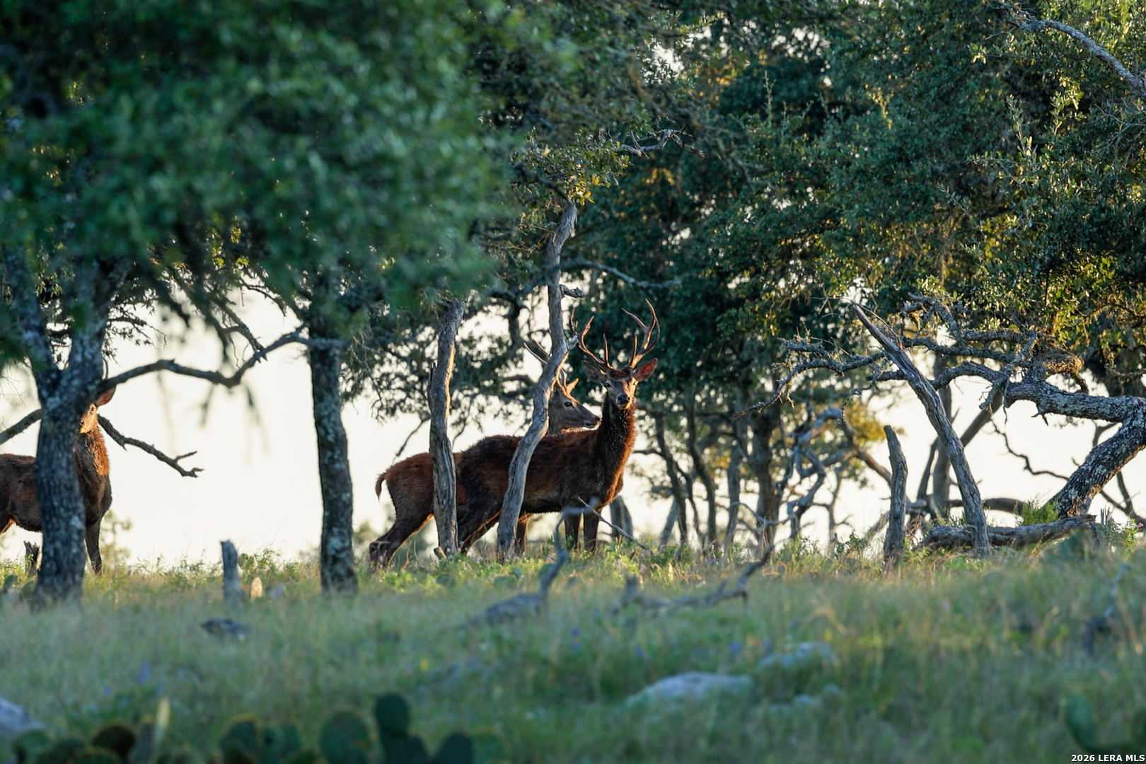 3701 HIGHWAY 41, Mountain Home, TX 78058