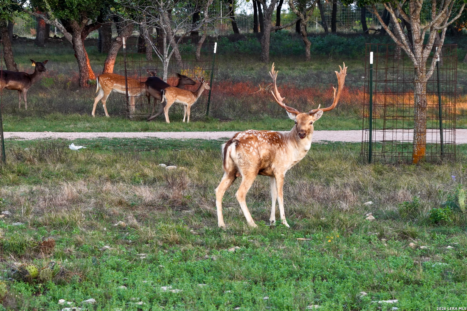 3701 HIGHWAY 41, Mountain Home, TX 78058