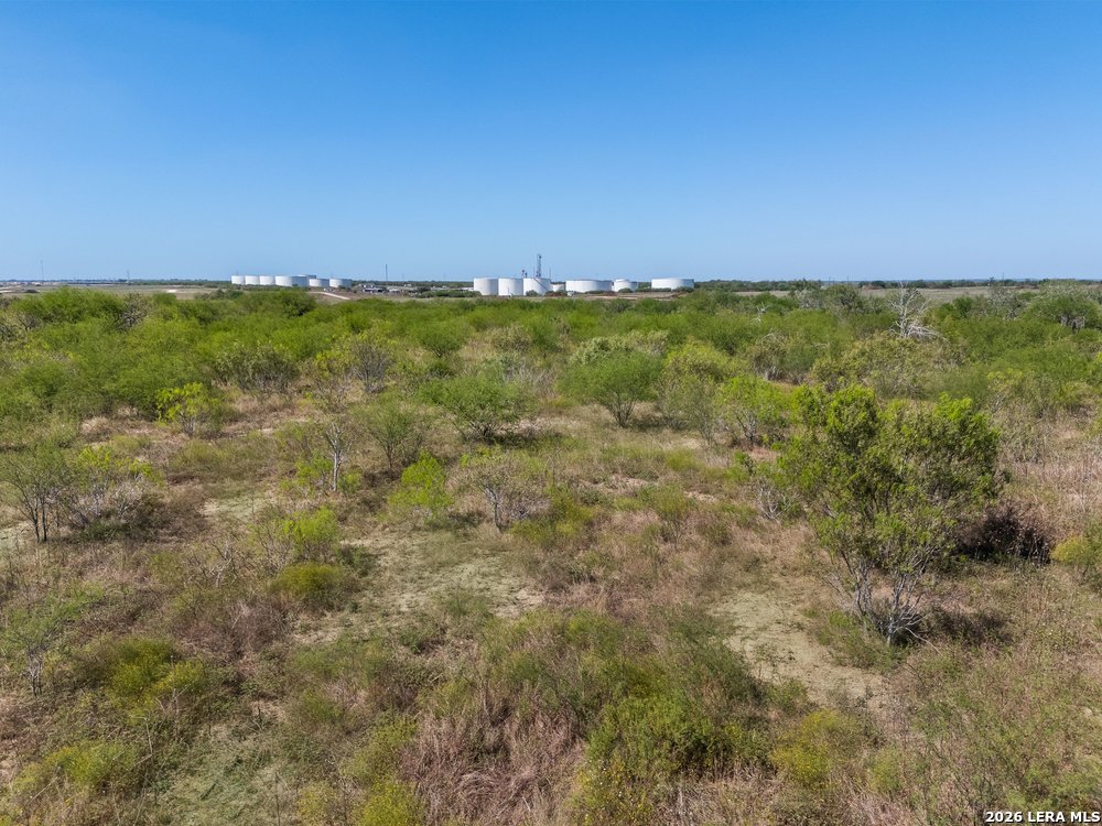 600 County Road 483, Nixon, TX 78140