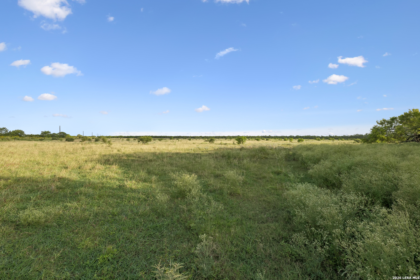 0 Cr 310, Charlotte, TX 78011