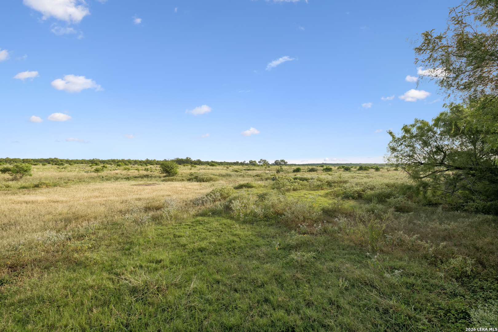0 Cr 310, Charlotte, TX 78011