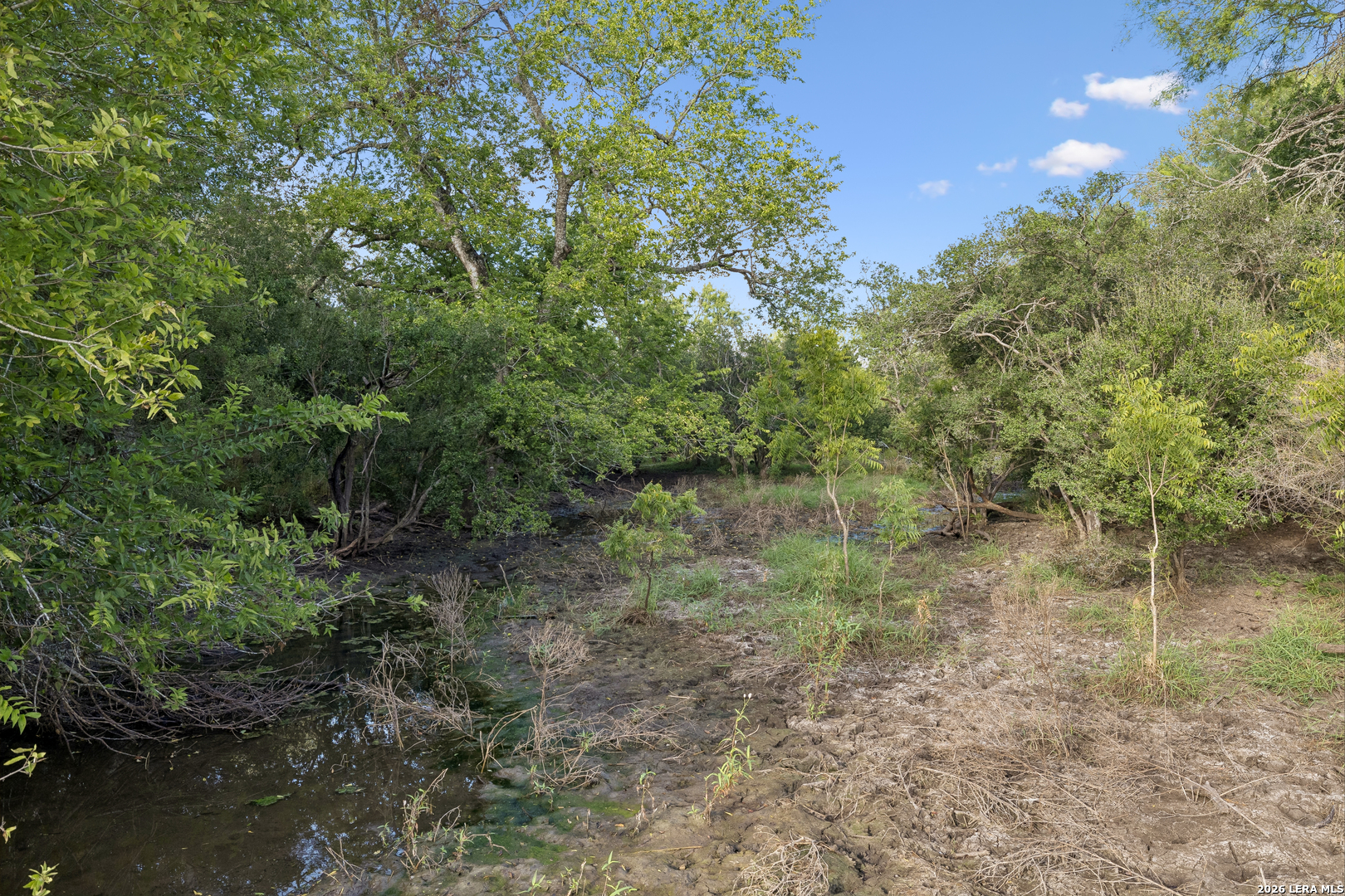 0 Cr 310, Charlotte, TX 78011
