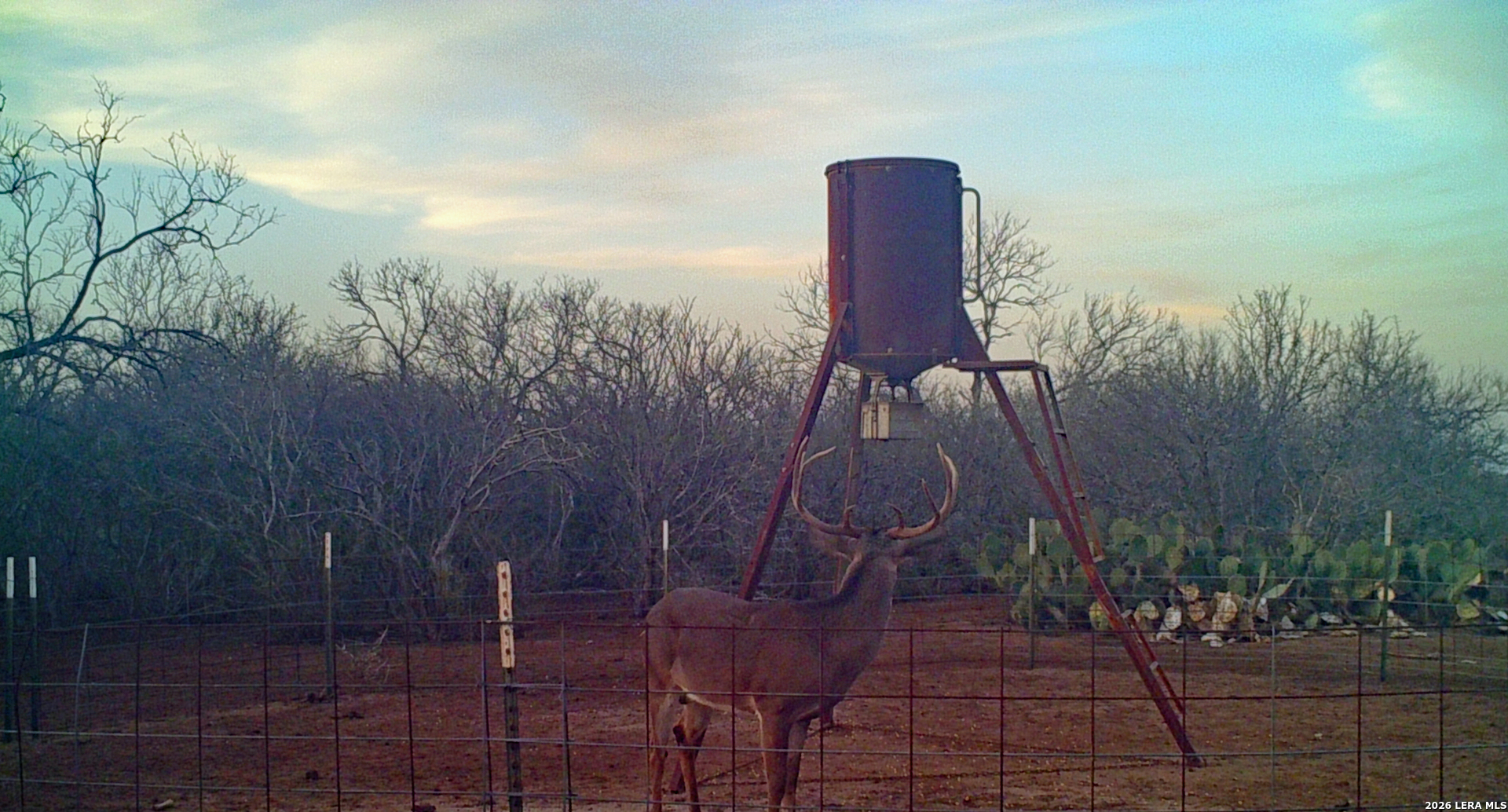0 Cr 310, Charlotte, TX 78011