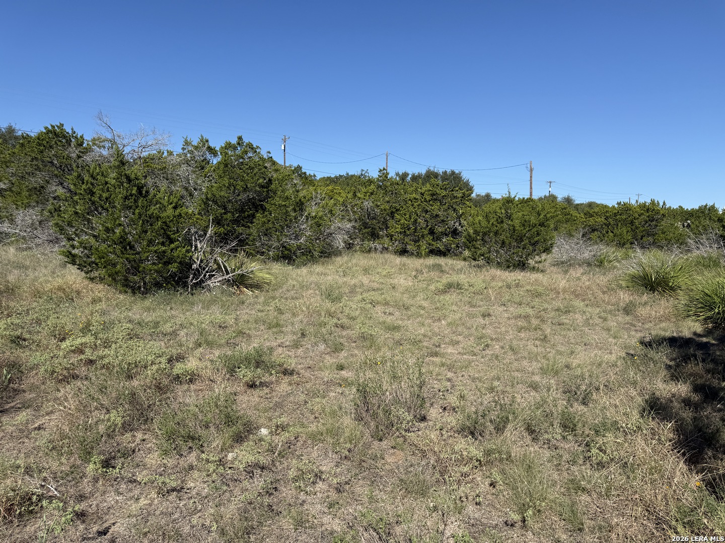 390 THOROUGHBRED LN, Spring Branch, TX 78070