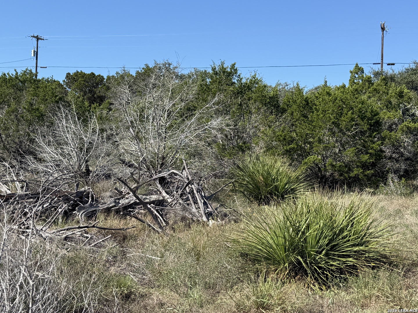 390 THOROUGHBRED LN, Spring Branch, TX 78070