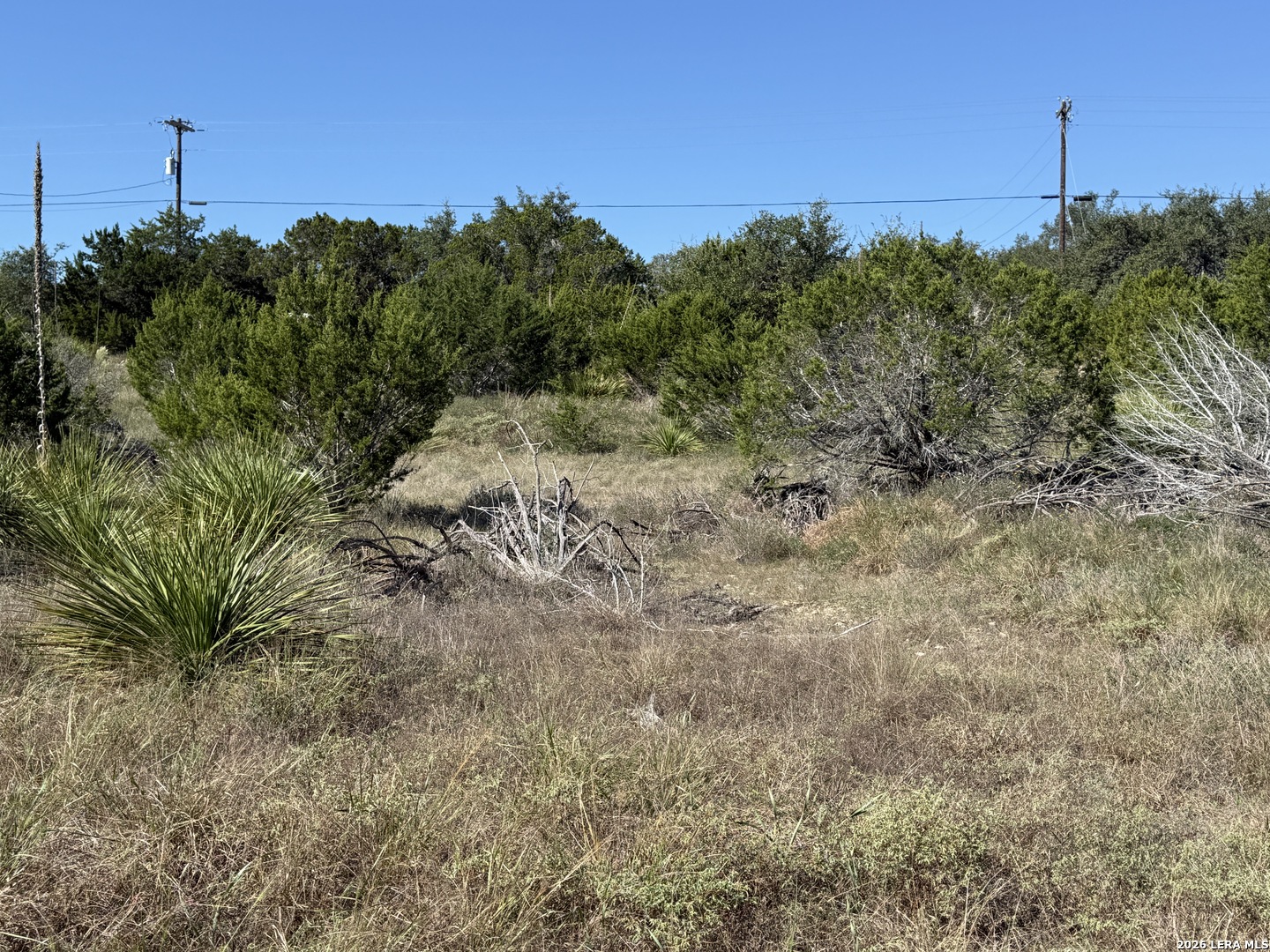 390 THOROUGHBRED LN, Spring Branch, TX 78070