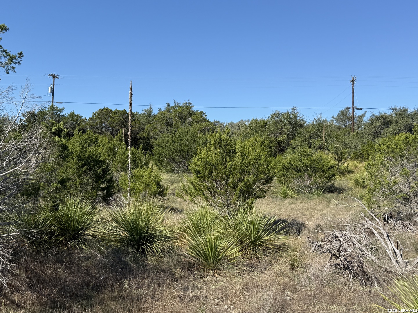 390 THOROUGHBRED LN, Spring Branch, TX 78070