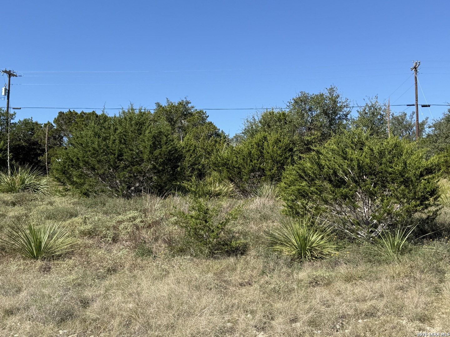 390 THOROUGHBRED LN, Spring Branch, TX 78070