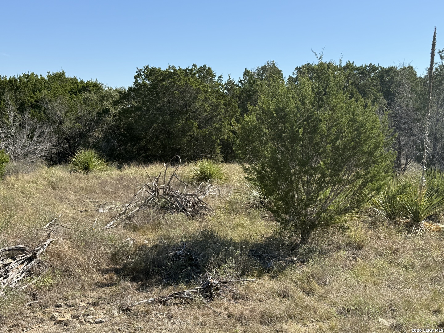 390 THOROUGHBRED LN, Spring Branch, TX 78070