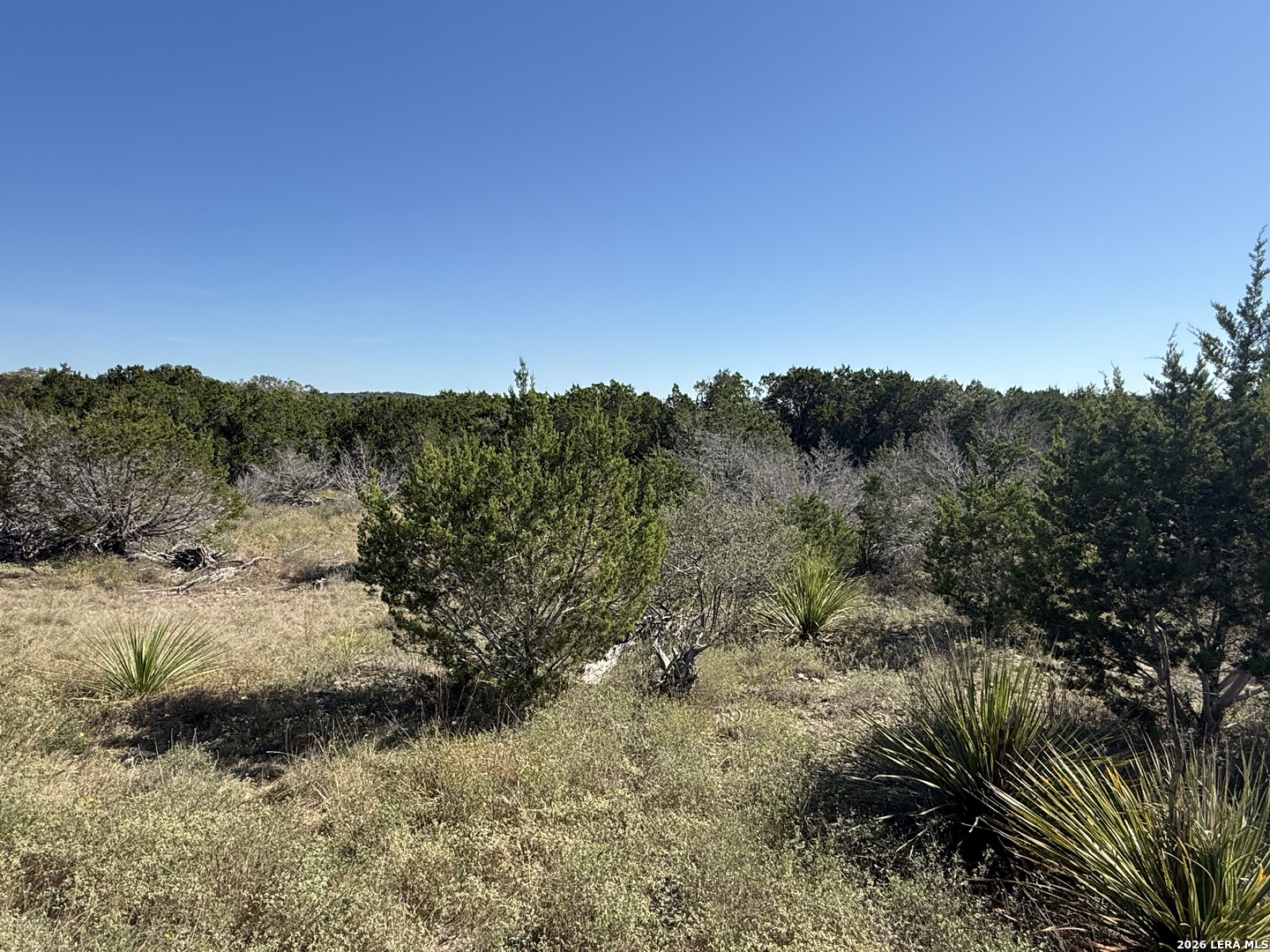 390 THOROUGHBRED LN, Spring Branch, TX 78070