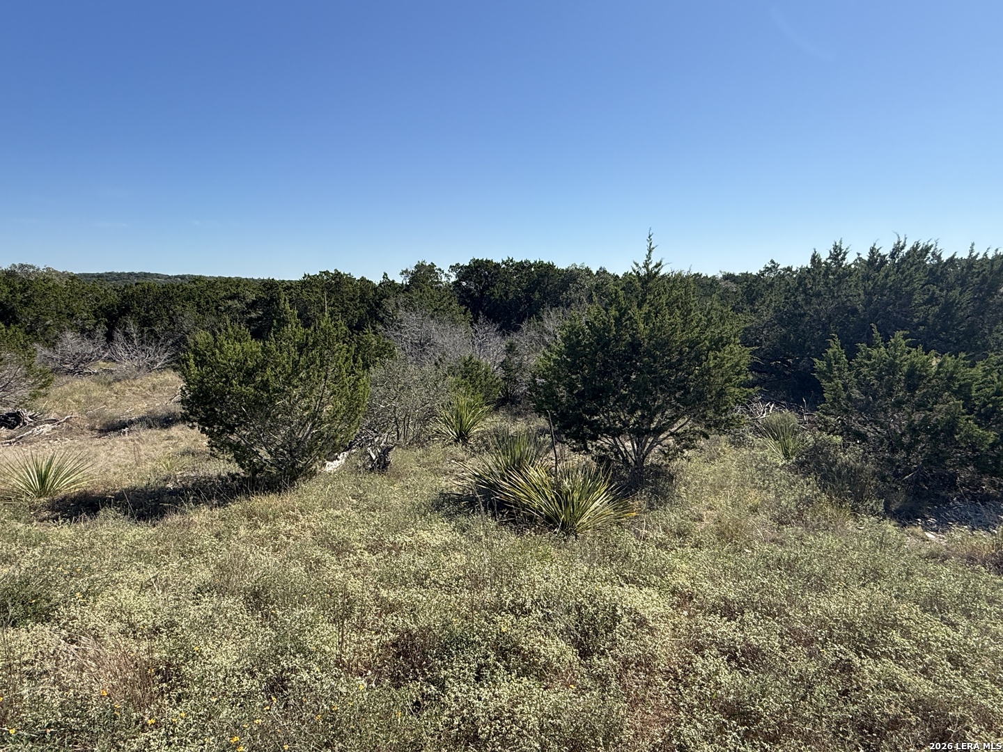 390 THOROUGHBRED LN, Spring Branch, TX 78070
