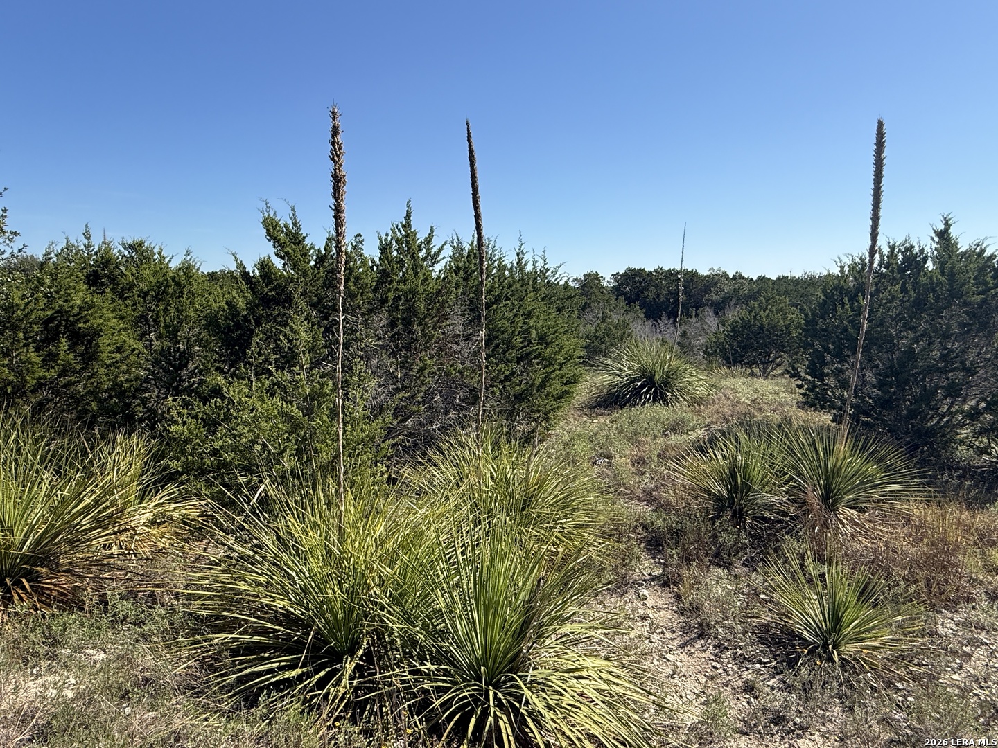 390 THOROUGHBRED LN, Spring Branch, TX 78070