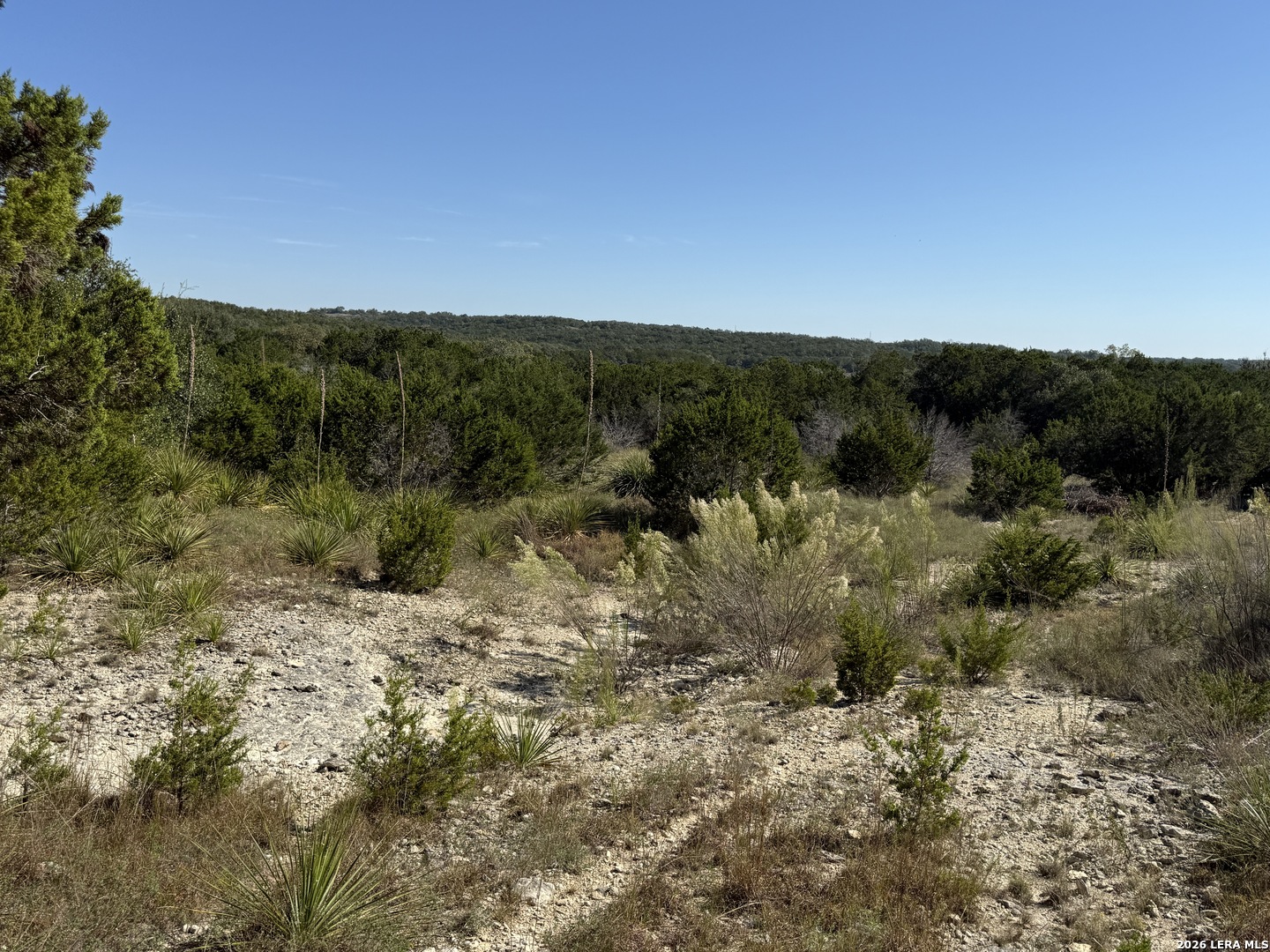 390 THOROUGHBRED LN, Spring Branch, TX 78070